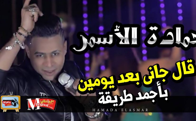 26194807 1538946282819495 1165826412 o