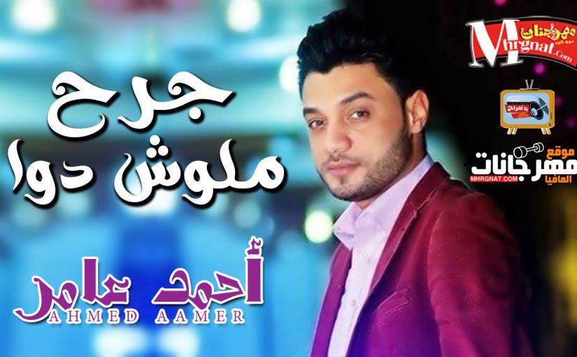 30743795 1648213308559458 3251761087451758592 n