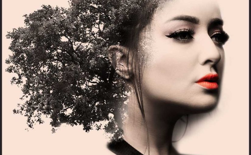 08120a5bdb2e2040654553ef9d7f7c0e