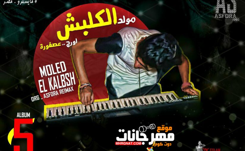 34881826 1769714656385393 4953358973290938368 n