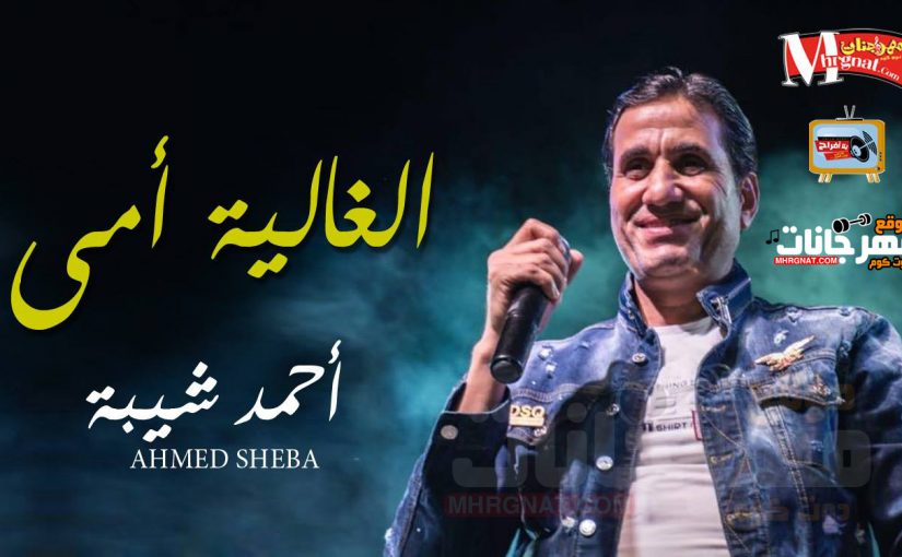 44356066 328017621335702 5685851858778718208 n