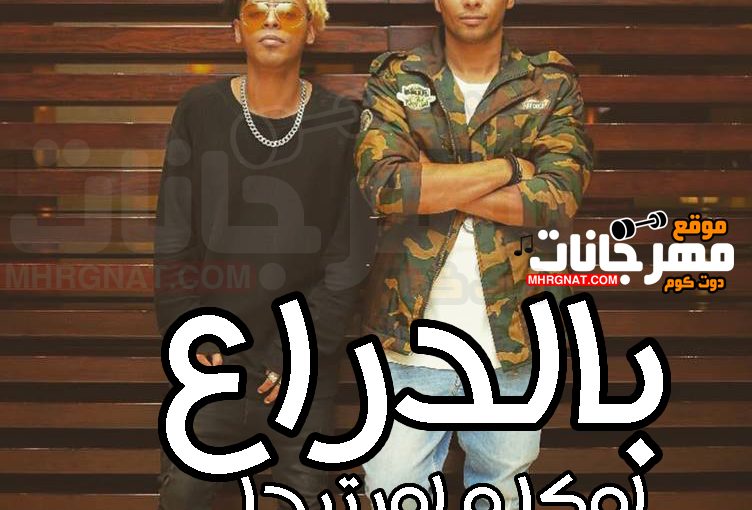 46043897 1926030934147981 8450063067835793408 n