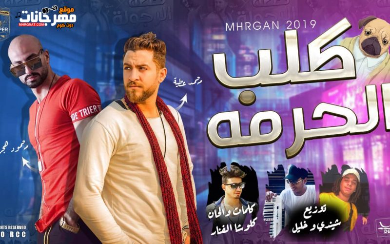 مهرجان كلب الحرمه - محمد عطيه - محمود هجرس - كلمات كالوشا الفنار - توزيع شيندى و خليل انتاج كوبر ميديا 1 71106058 2471231543155844 3570202254973599744 n