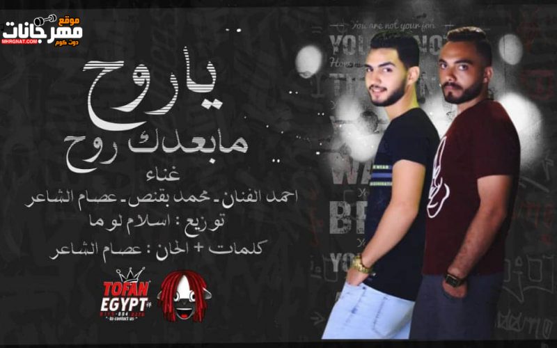 72595455 522866671871914 3049276632398299136 n