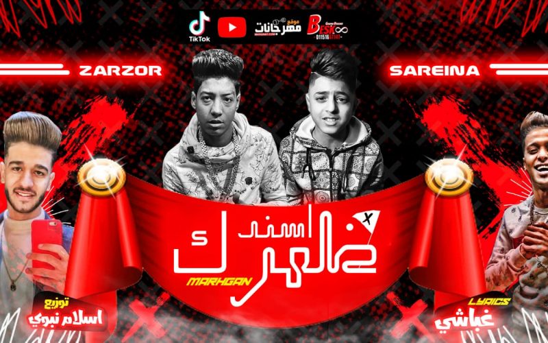 مهرجان اسند ضهرك - احمد زرزور و محمود سرينا كلمات غباشي توزيع اسلام نبوي