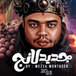 تراك جديد لانج – وزة منتصر